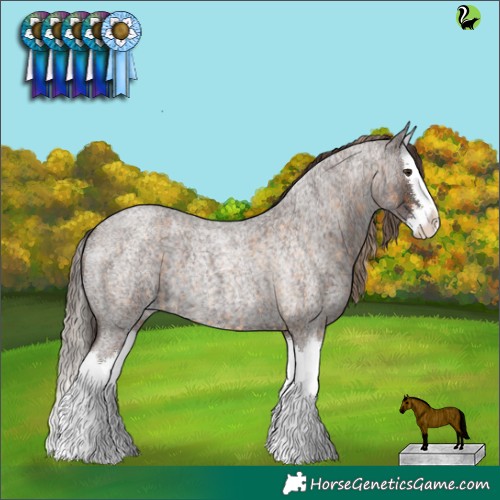 Horse Color:Chocolate Palomino Roan Splash and Liver Red Roan Splash