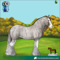 Horse Color:Chocolate Palomino Roan Splash  and Liver Red Roan Splash 