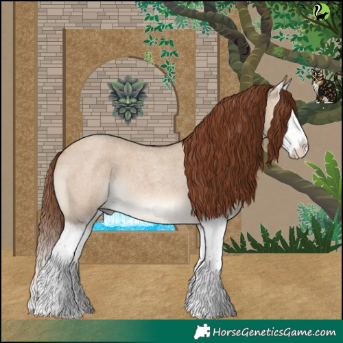 Horse Color:Red Dun Roan Splash 