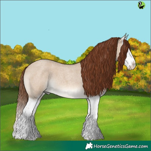 Horse Color:Red Dun Roan Splash 