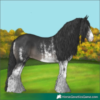 Horse Color:White Spotted Black 