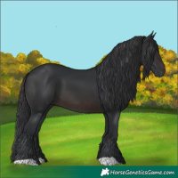Horse Color:Brown 