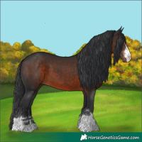 Horse Color:Brown 