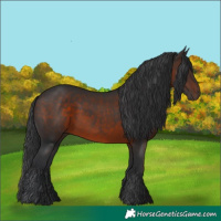 Horse Color:Brown 