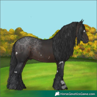 Horse Color:White Spotted Brown 