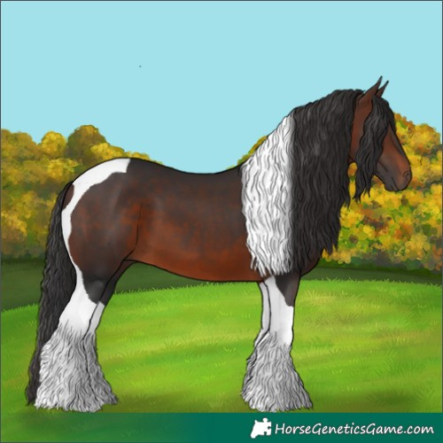 Horse Color:Brown Tobiano