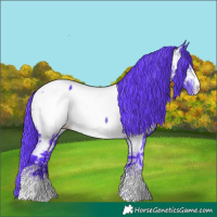 Horse Color:Watercolor Brown Ice Near Fewspot