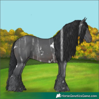 Horse Color:White Spotted Brown Ice 