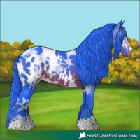 Horse Color:Gray Watercolor Brown Ice Appaloosa 
