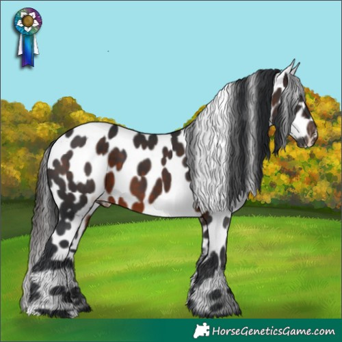 Horse Color:Brown Leopard 