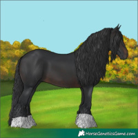 Horse Color:Brown 