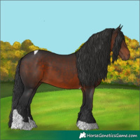 Horse Color:Brown Tobiano