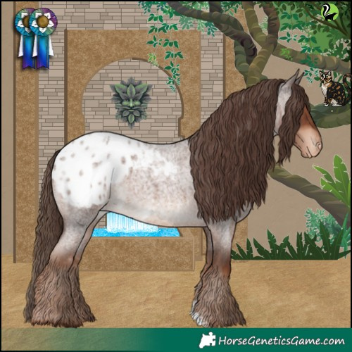 Horse Color:Liver Red Roan Blanket 