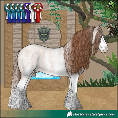 Horse Color:White Spotted Blue Roan Pearl Splash 