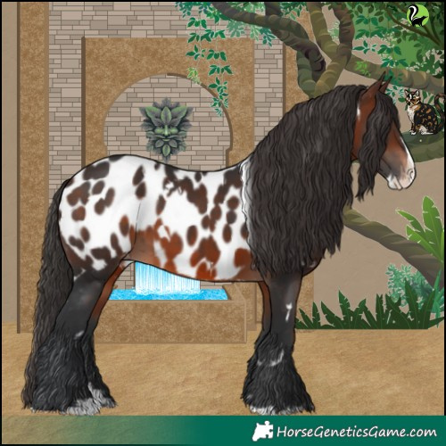 Horse Color:White Spotted Brown Splash Appaloosa 