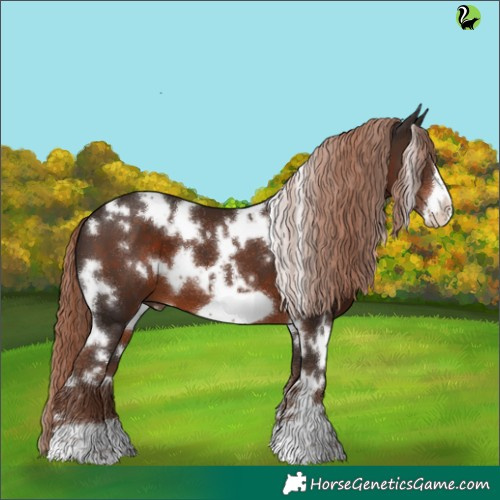 Horse Color:White Spotted Liver Chestnut Frame 