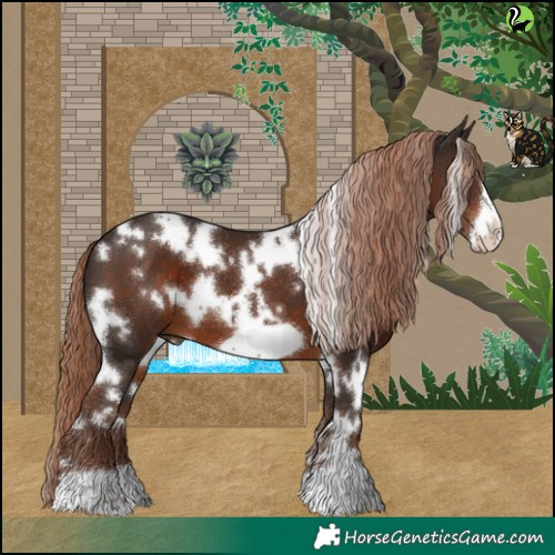 Horse Color:White Spotted Liver Chestnut Frame 