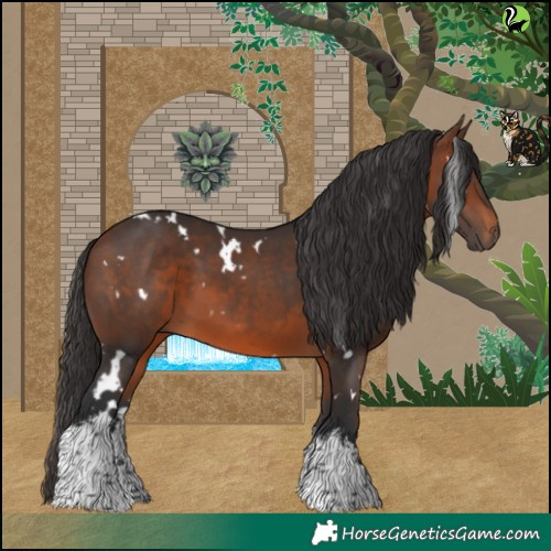 Horse Color:White Spotted Brown 