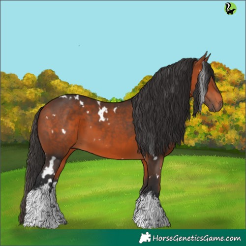 Horse Color:White Spotted Brown 