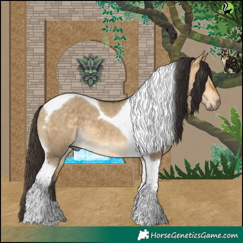 Horse Color:Buckskin Dun Tobiano 