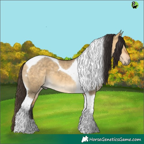 Horse Color:Buckskin Dun Tobiano 