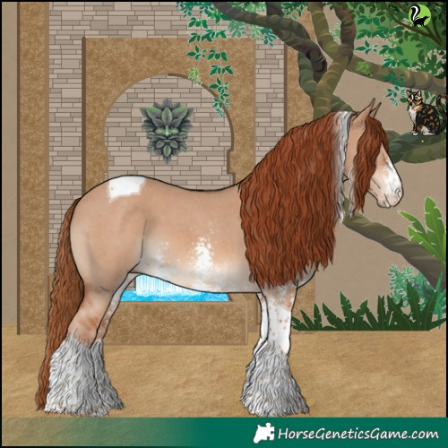 Horse Color:Red Dun Sabino Tobiano 
