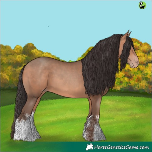 Horse Color:White Spotted Sable Champagne 