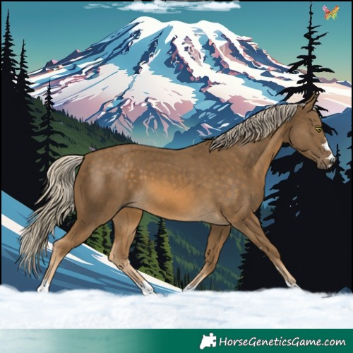 Horse Color:Chocolate Palomino Mushroom 