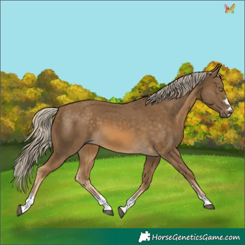 Horse Color:Chocolate Palomino Mushroom 