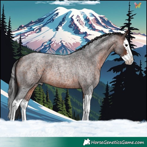 Horse Color:Brown Roan Splash 