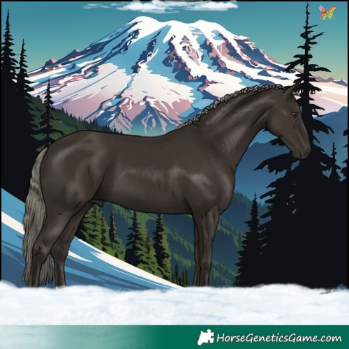 Horse Color:Liver Chestnut Mushroom 