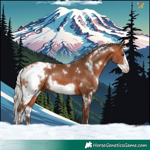 Horse Color:White Spotted Silver Bay Frame 