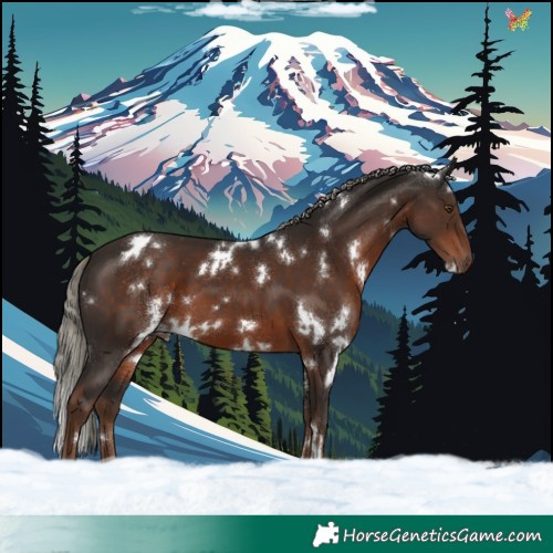 Horse Color:White Spotted Liver Chestnut Mushroom 