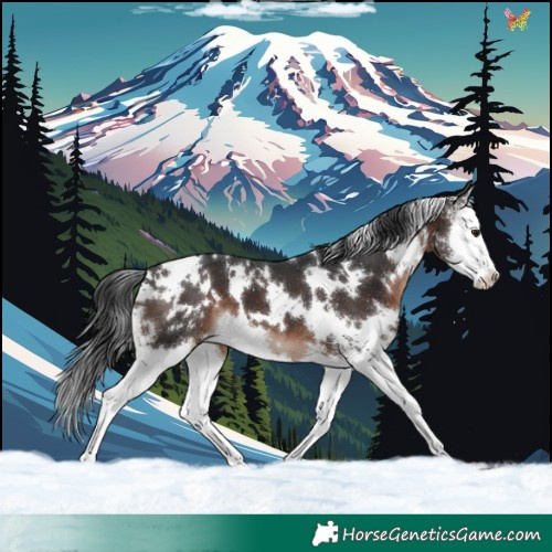 Horse Color:White Spotted Brown Mushroom Sabino Splash 