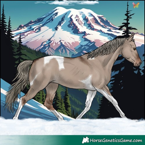 Horse Color:Liver Red Dun Mushroom Tobiano 