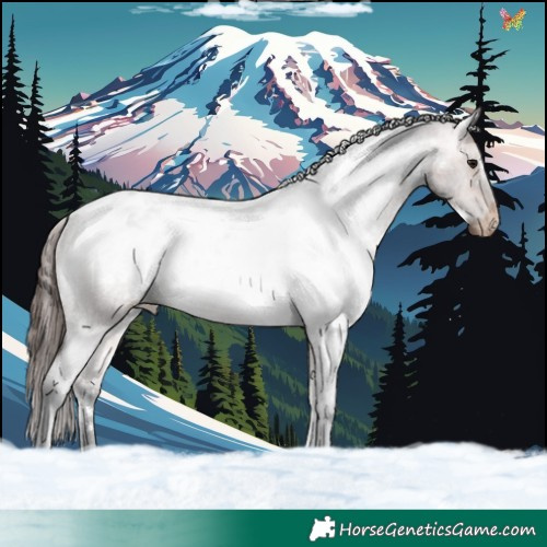 Horse Color:White Spotted Bay Roan Mushroom Appaloosa 