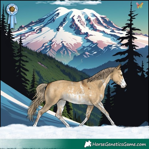 Horse Color:Chocolate Palomino Dun Sabino 