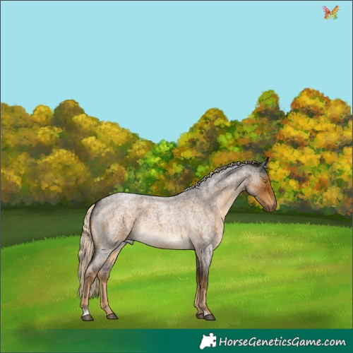 Horse Color:Chocolate Palomino Roan Mushroom 