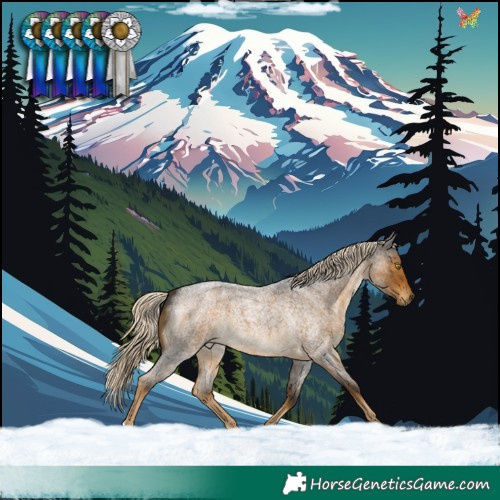 Horse Color:Chocolate Palomino Roan Mushroom 