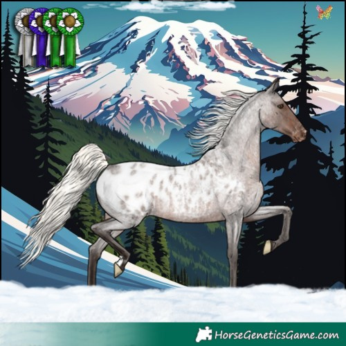 Horse Color:Liver Red Roan Mushroom Appaloosa Rabicano 