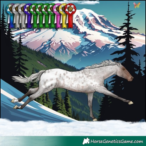 Horse Color:Liver Red Roan Mushroom Blanket Rabicano 