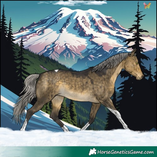 Horse Color:Silver Buckskin Dun Mushroom Tobiano Rabicano Brindle 