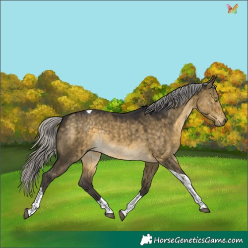 Horse Color:Silver Buckskin Dun Mushroom Tobiano Rabicano Brindle 