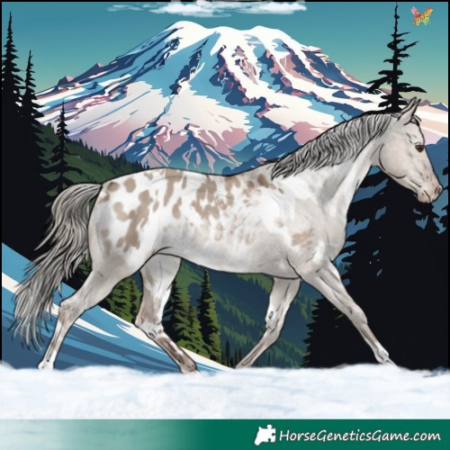 Horse Color:White Spotted Liver Red Dun Mushroom Blanket 