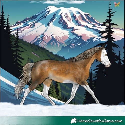 Horse Color:Chocolate Palomino Mushroom Splash 