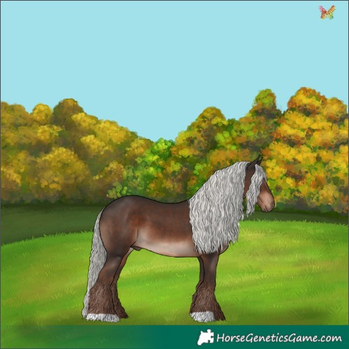 Horse Color:Liver Chestnut Mushroom 