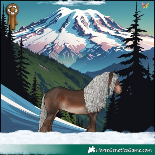 Horse Color:Liver Chestnut Mushroom 