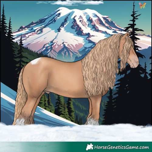 Horse Color:Gold Champagne Tobiano 