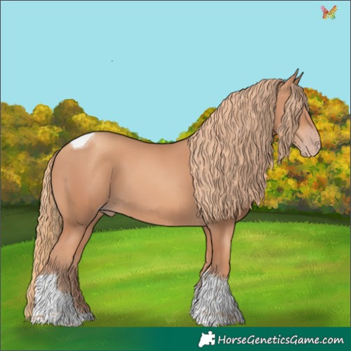 Horse Color:Gold Champagne Tobiano 