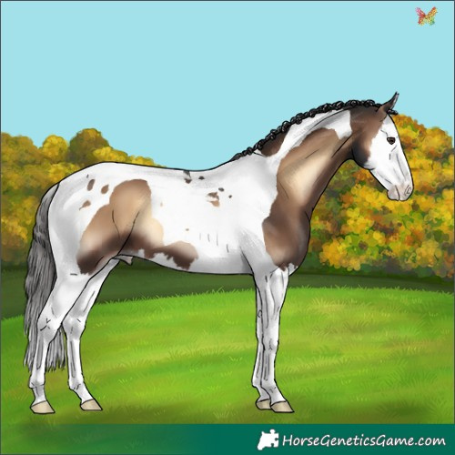 Horse Color:Liver Red Onyx Splash Tobiano 